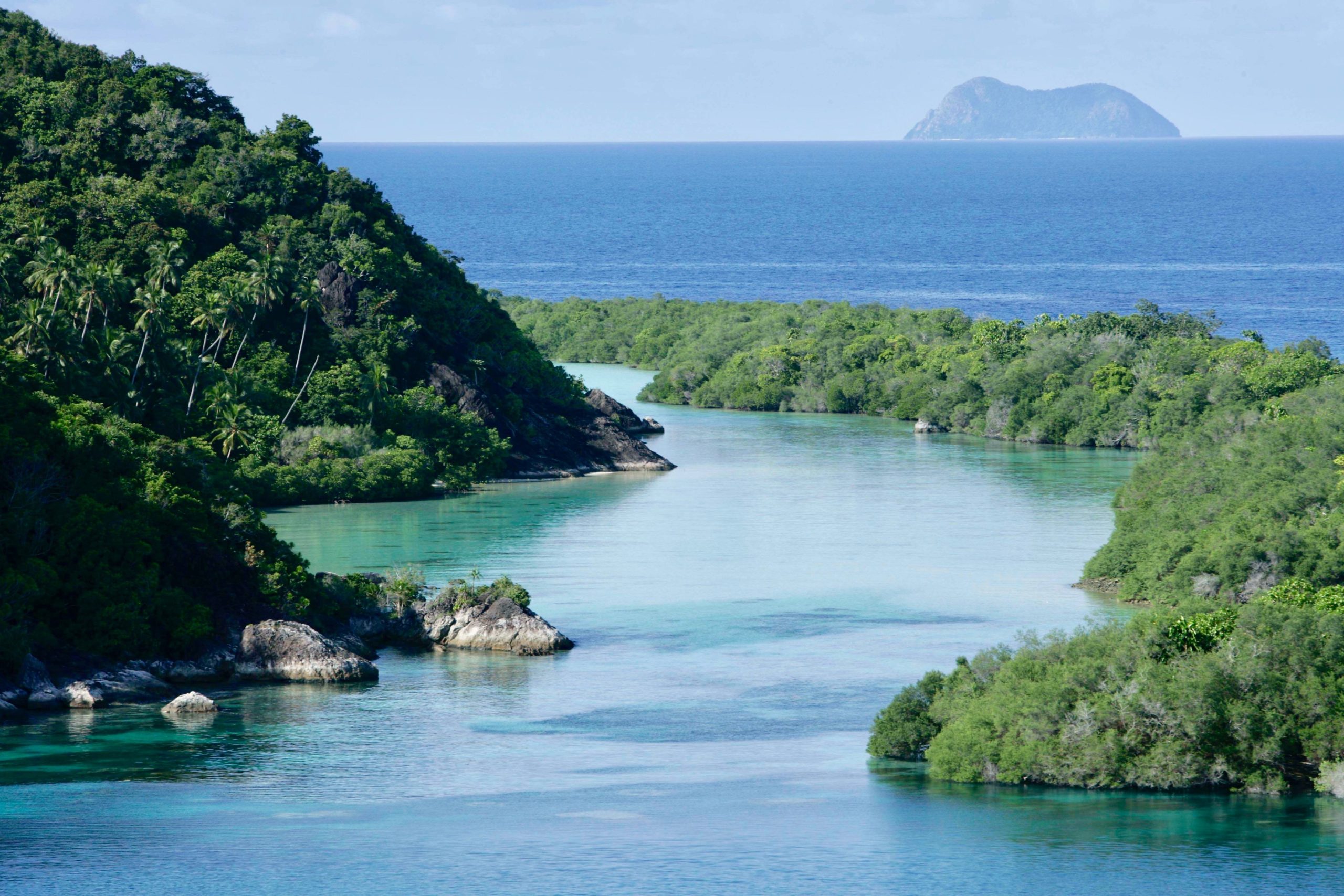 新型號的 特急列車—「火鳥號 (HINOTORI)」