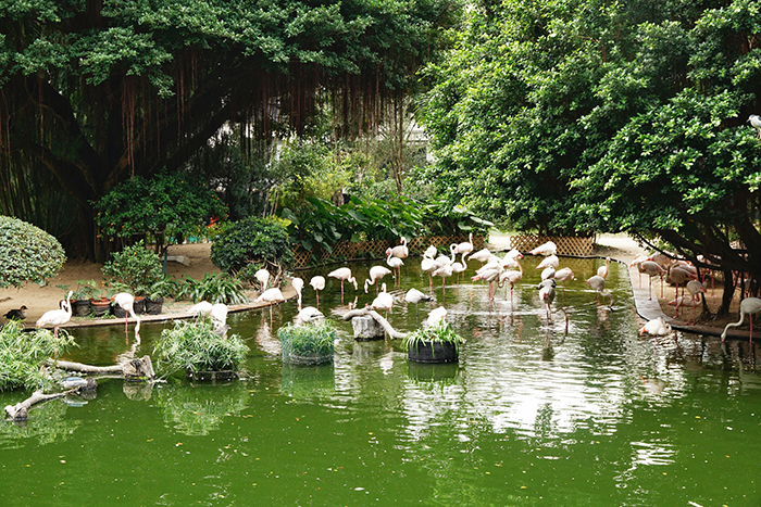Kowloon Park