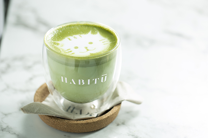 CoffeeforCats_HABITU Matcha Oat Latte